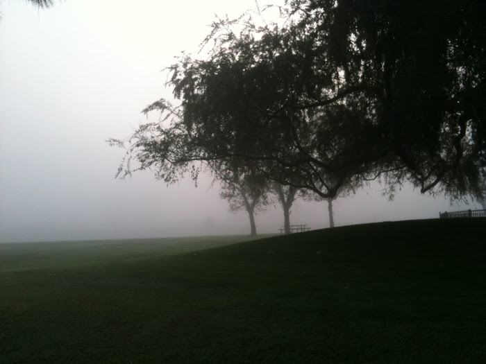 霧のカリフォルニア