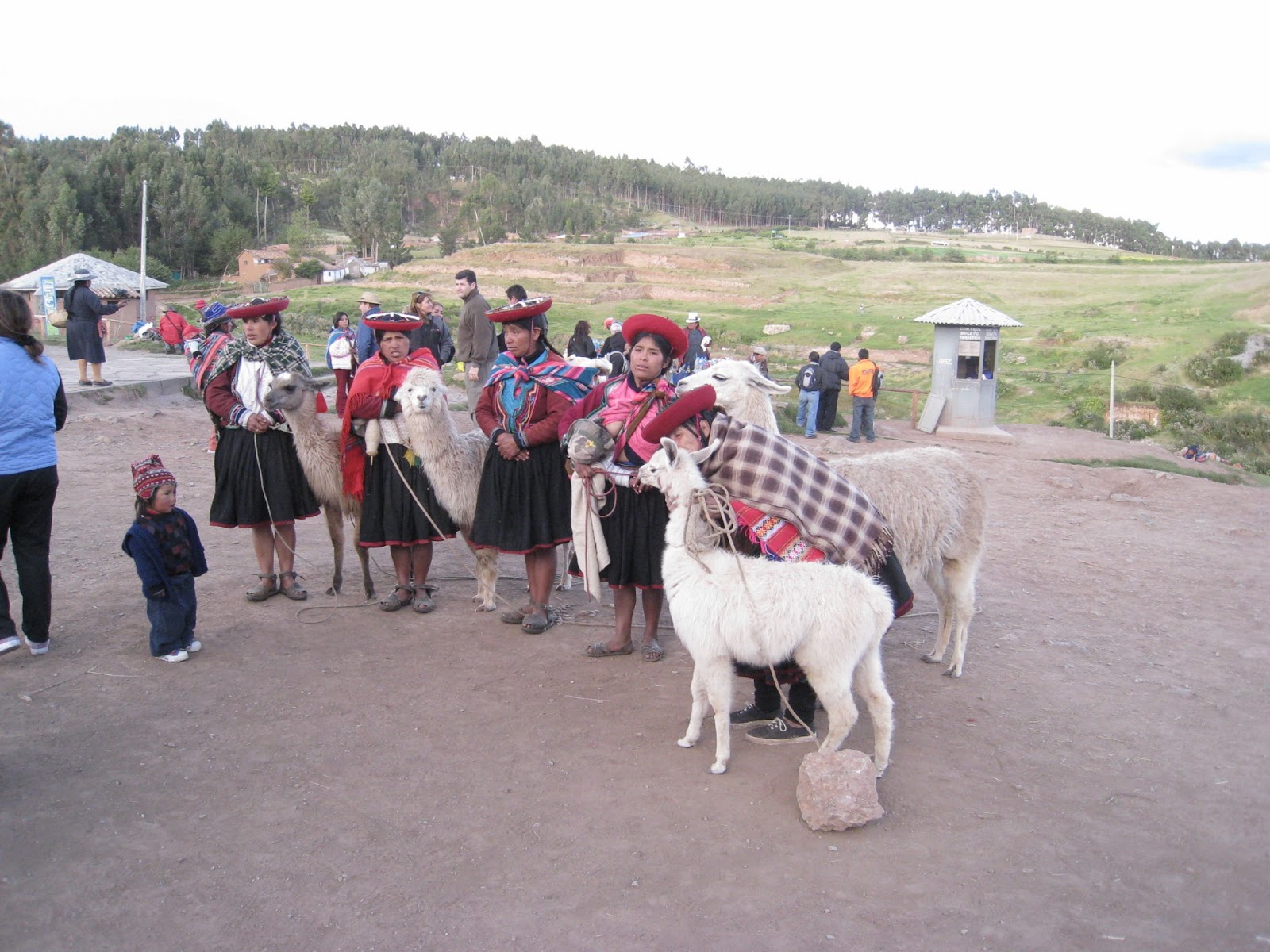 ペルークスコ23