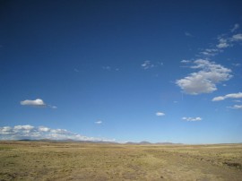 ペループーノ41