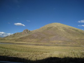 ペループーノ40