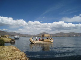 ペループーノ50