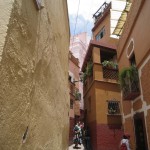 メキシコグアナファト13