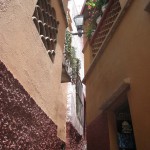 メキシコグアナファト14