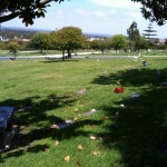 ニューポートビーチ墓参り02