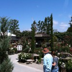 アメリカのガーデン屋12