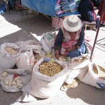 ペルーコルカ56