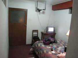 ペループーノ28