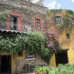 メキシコグアナファト39