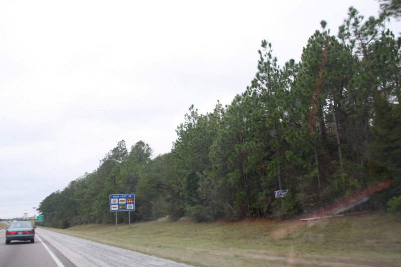 アメリカハイウェイ01