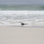 ペンサコーラ03