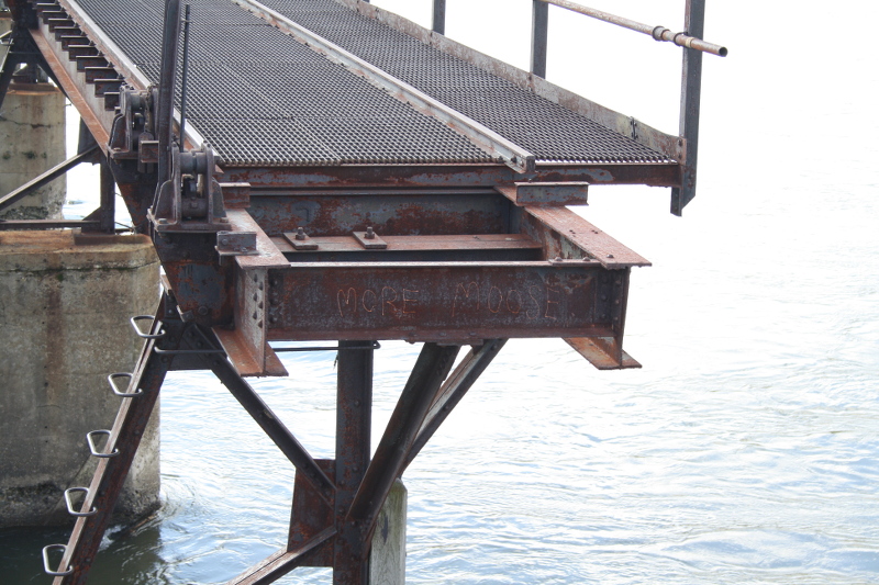 アメリカリッチモンド10