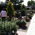 アメリカのガーデン屋07