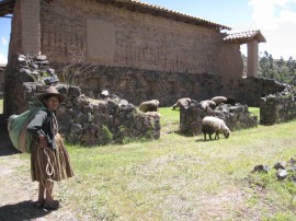 ペループーノ07