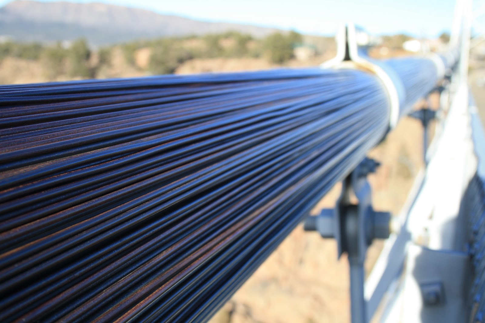 ロイヤル・ゴート・ブリッジ05