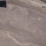 ペルーナスカ29