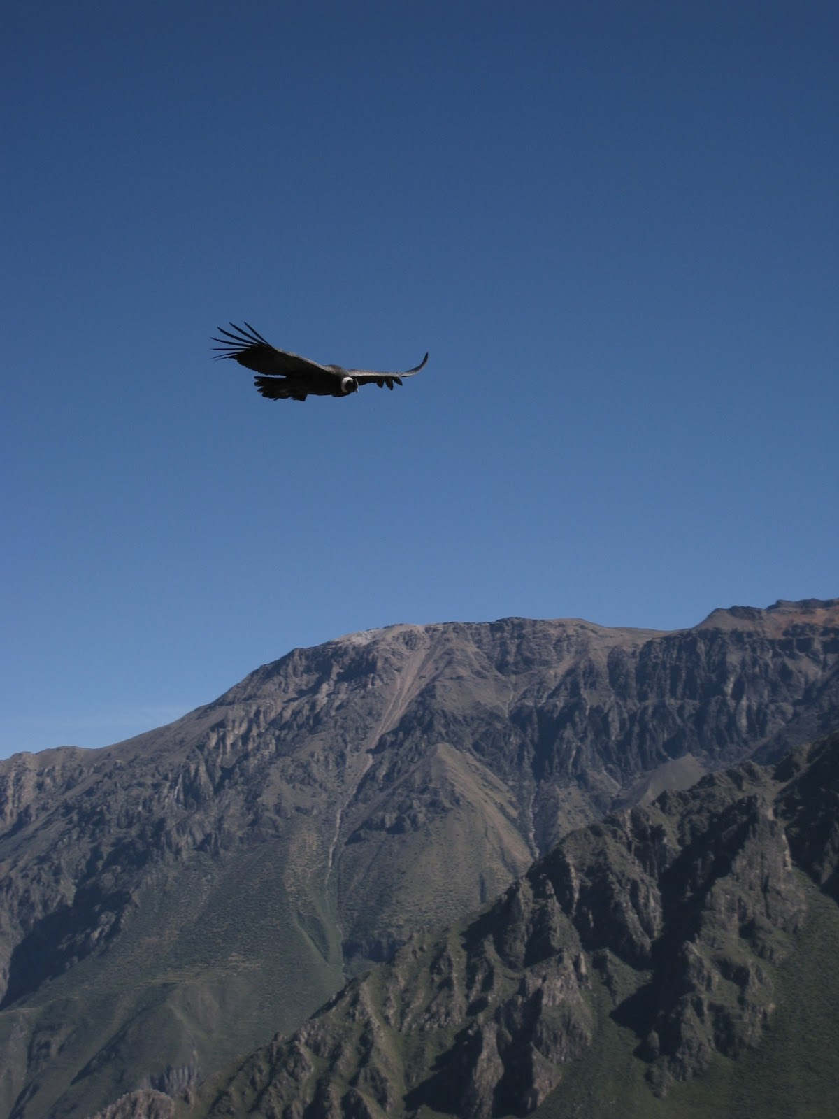 ペルーコルカ11