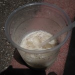 メキシコグアナファト37