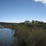 イグアスの滝04