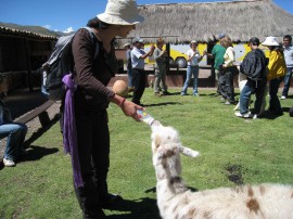 ペループーノ10