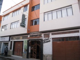 ペループーノ29