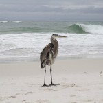 ペンサコーラ05