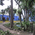 メキシコシティ43