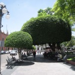 サカテカス・ケレタロ32