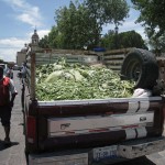 サカテカス・ケレタロ18