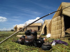 ペループーノ45