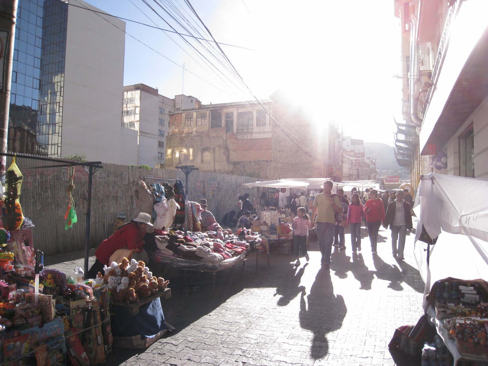 ボリビアラパス41