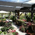 アメリカのガーデン屋08