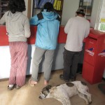 チリイースター島36