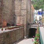 メキシコグアナファト22