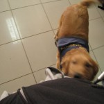 チリイースター島60