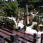 アメリカのガーデン屋05