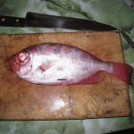 チリイースター島37