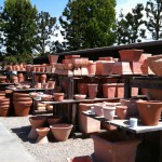 アメリカのガーデン屋11