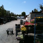 アメリカのガーデン屋17