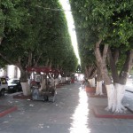 メキシコグアナファト30