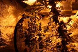 サンフランシスコ18