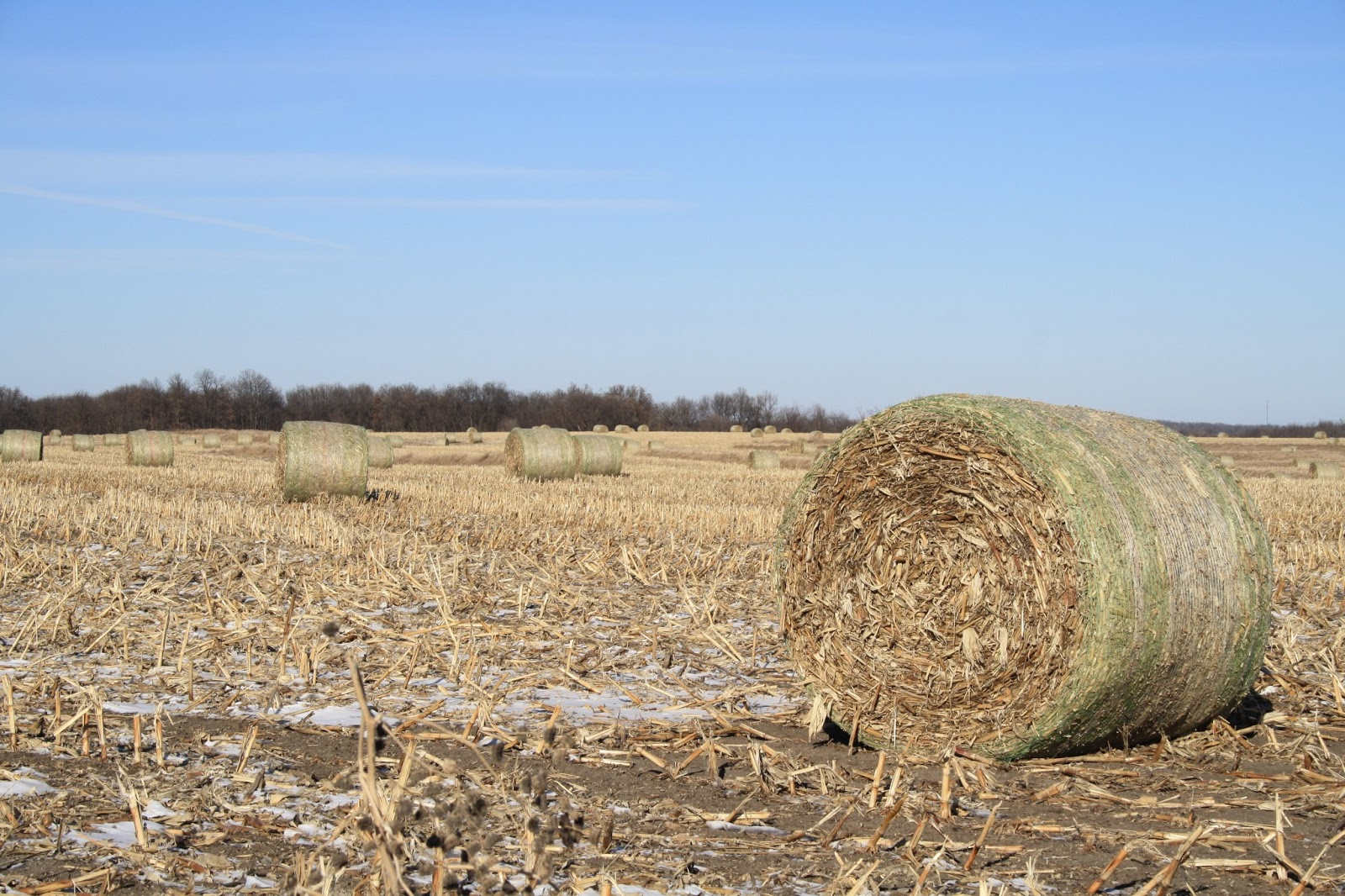 マディソン郡の橋05