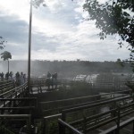 イグアスの滝11