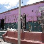 メキシコグアナファト42