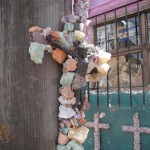 メキシコグアナファト44