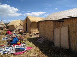 ペループーノ47