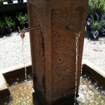 アメリカのガーデン屋20