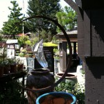 アメリカのガーデン屋09