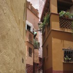 メキシコグアナファト12