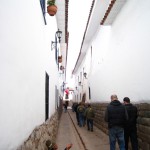 ペルークスコ14