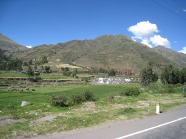 ペループーノ37